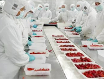 四川廚房設備生產(chǎn)廠家告訴你如何解決中央廚房配送問題